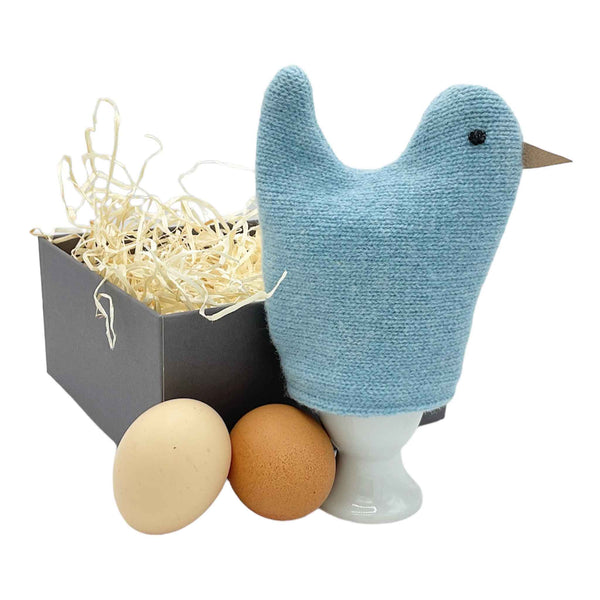 Blue Chick Egg Cosy Set