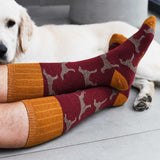 SOCK CLUB MONTHLY SUBSCRIPTION - SEASONAL SELECTION