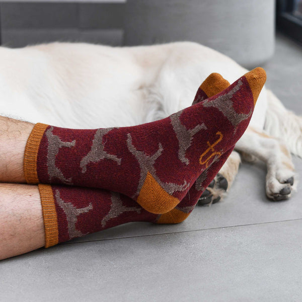 Men's Dark Red Dog Lambswool Ankle Socks