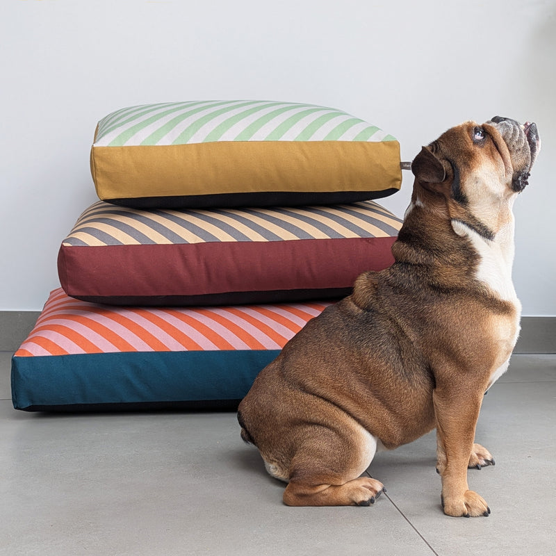 dog bed size stack