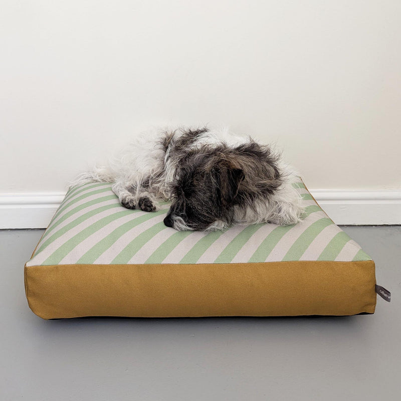 Dog Bed - Green Stripe