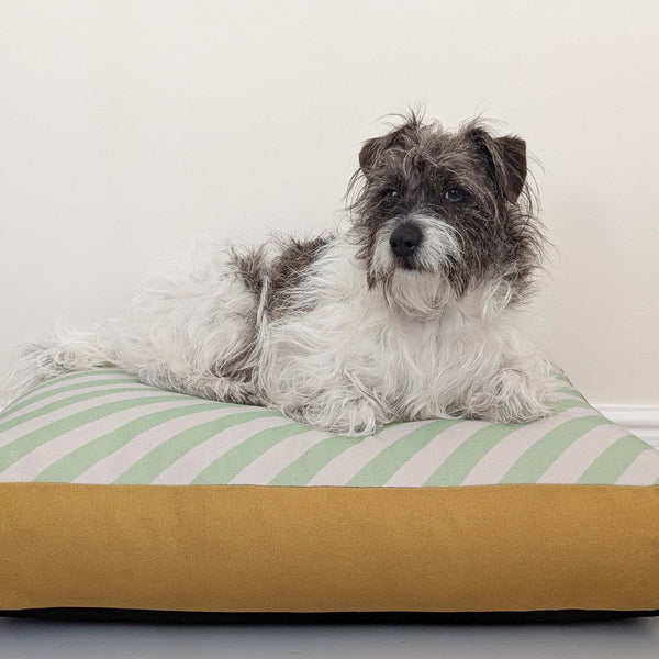 Dog Bed - Green Stripe