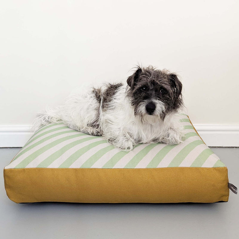 Dog Bed - Green Stripe