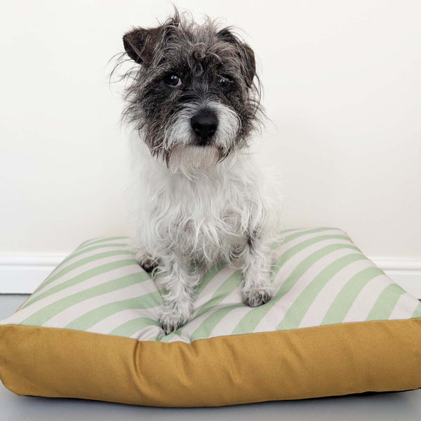 Dog Bed - Green Stripe