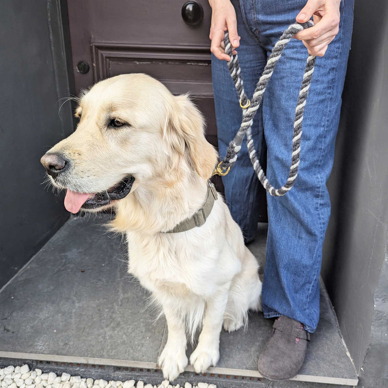 Wool Twist Dog Lead - Charcoal