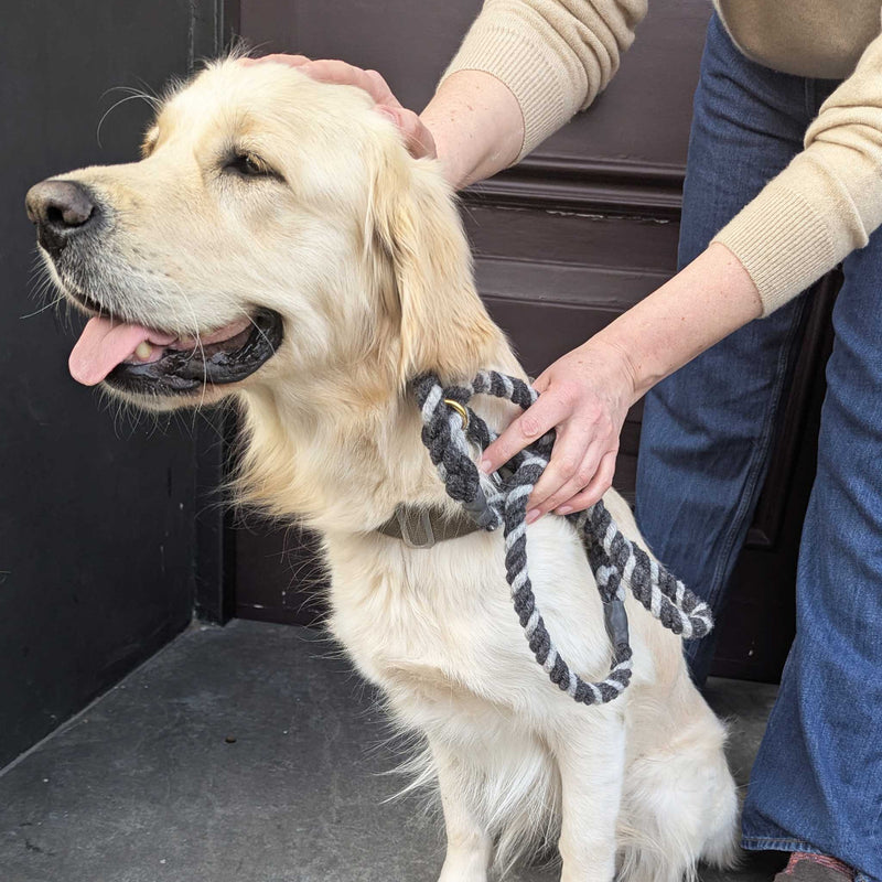 Wool Twist Dog Lead - Charcoal