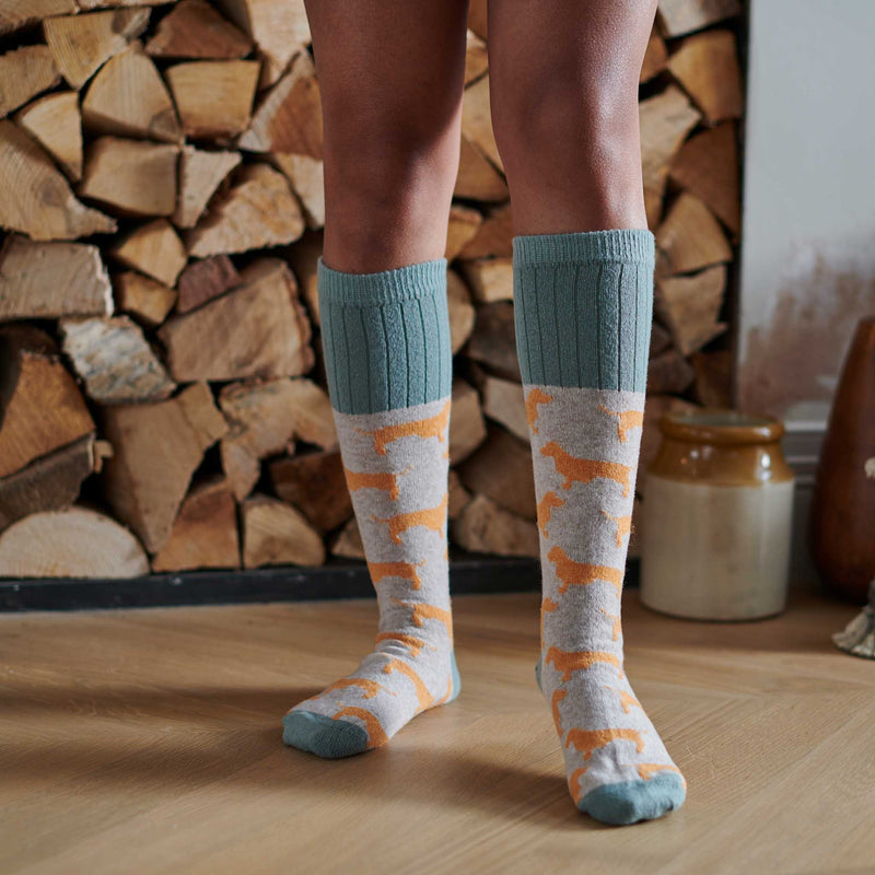 Ladies Oatmeal & Orange Sausage Dog Lambswool Knee Socks