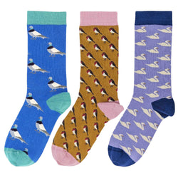 Pack of 3 Women's Organic Cotton Ankle Socks - The Birds