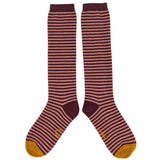 Women's Plum & Pink Stripe Lambswool Knee Socks