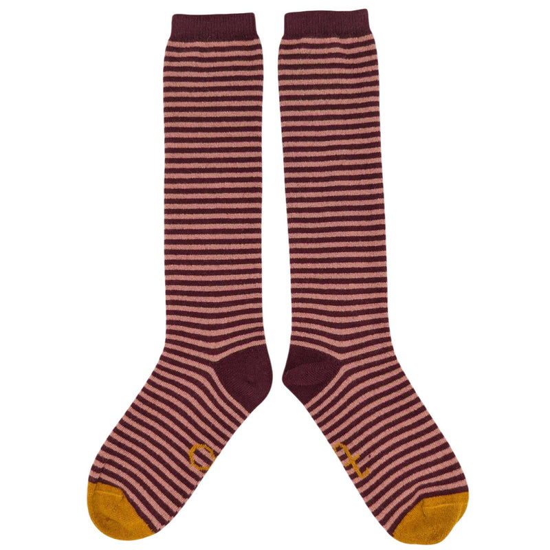 Women's Plum & Pink Stripe Lambswool Knee Socks