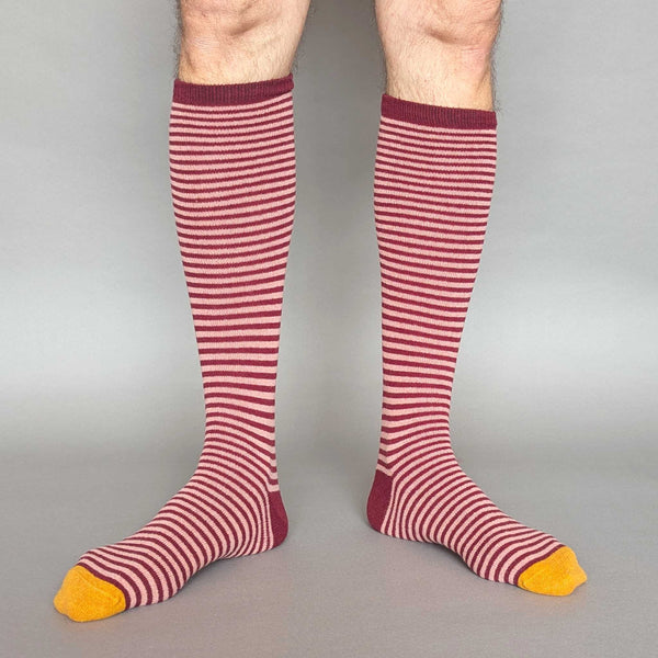 Men's Plum & Pink Stripe Lambswool Knee Socks
