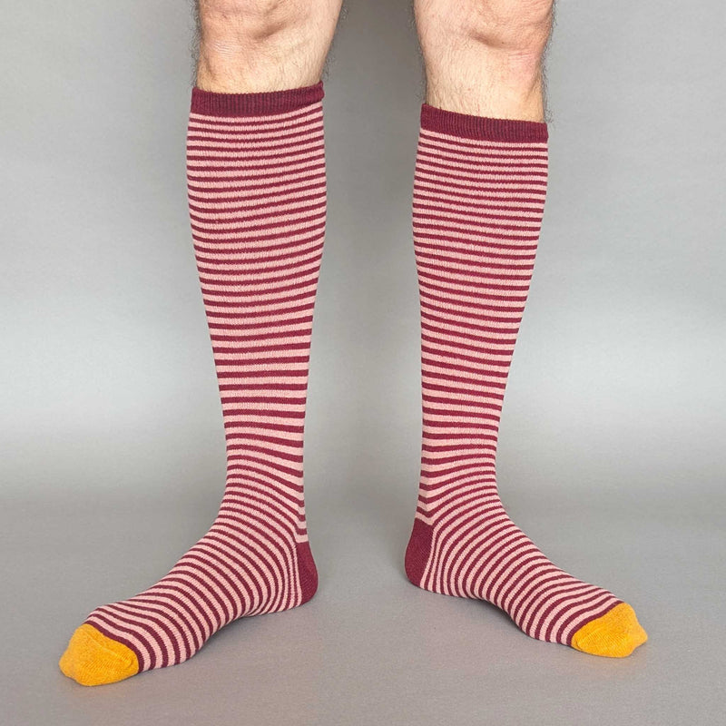Men's Plum & Pink Stripe Lambswool Knee Socks