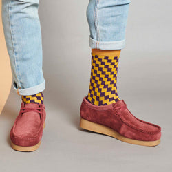 Person wearing maroon shoes with yellow and purple checkered socks on a neutral background