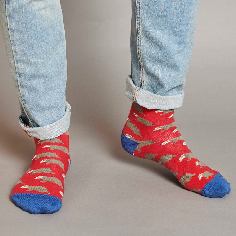 Men's Red Badgers Organic Cotton Ankle Socks