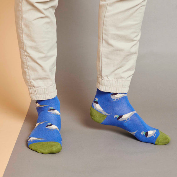 Men's Blue Pigeons Organic Cotton Ankle Socks