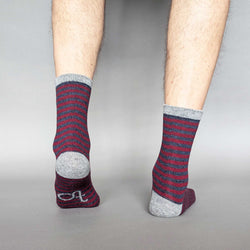 Men's  Plum & Navy Stripe Lambswool Ankle Socks