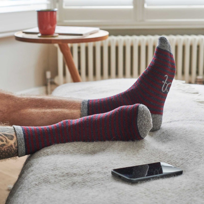 Men's  Plum & Navy Stripe Lambswool Ankle Socks