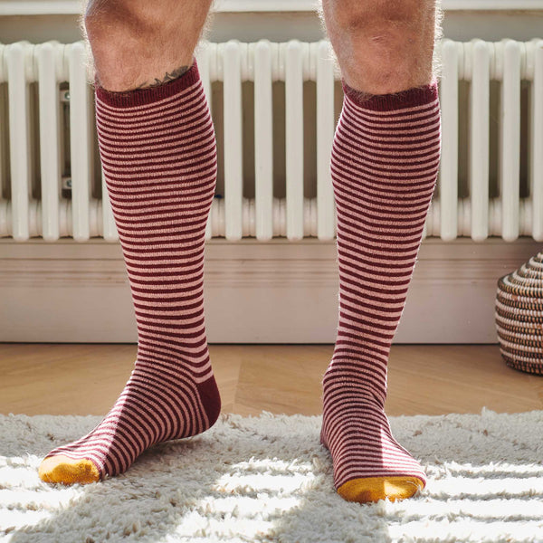 Men's Plum & Pink Stripe Lambswool Knee Socks