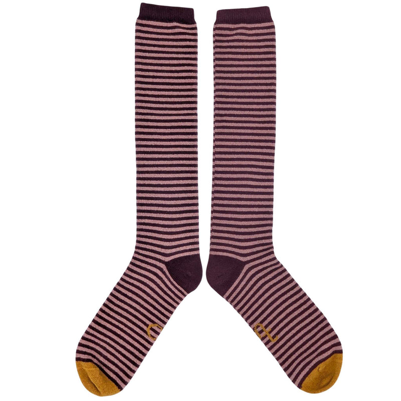 Men's Plum & Pink Stripe Lambswool Knee Socks