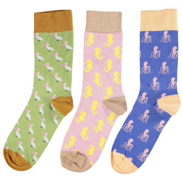 3 pk SEASIDE Cotton Ankle Socks for Women