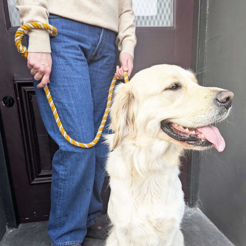 Wool Twist Dog Lead - Mustard
