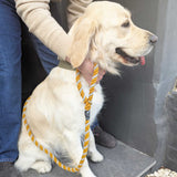 Wool Twist Dog Lead - Mustard