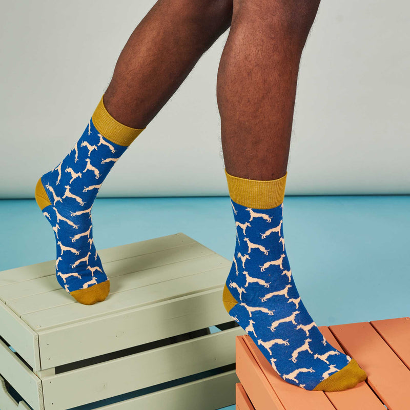 Men's Navy Whippet Organic Cotton Ankle Socks