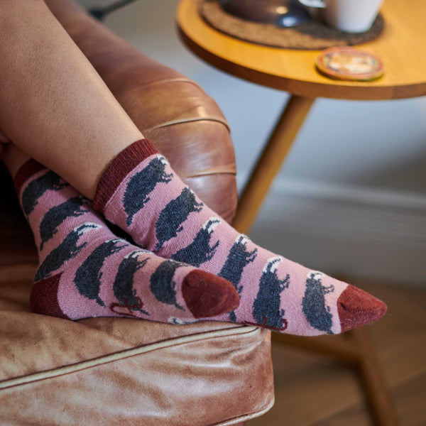 Ladies Dusky Pink Badgers Lambswool Ankle Socks