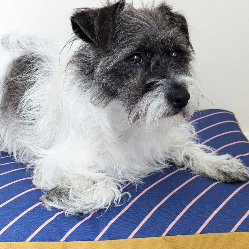 Dog Bed - Navy Pinstripe Printed Cotton