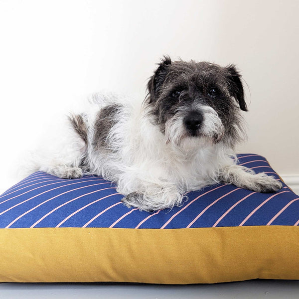 Dog Bed - Navy Pinstripe Printed Cotton