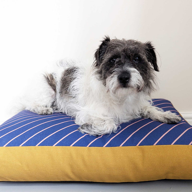 Dog Bed - Navy Pinstripe Printed Cotton