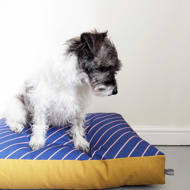 Dog Bed - Navy Pinstripe Printed Cotton