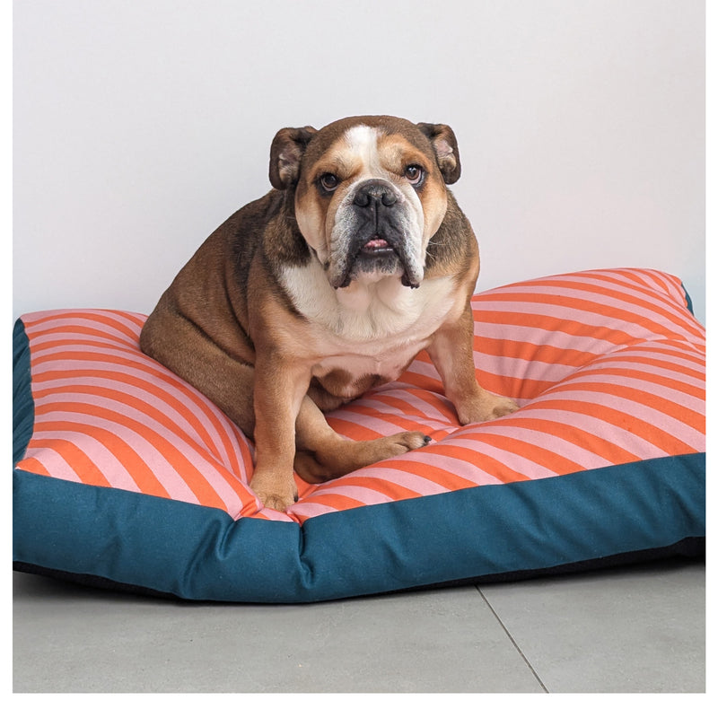 Dog Bed - Pink Stripe