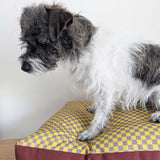 Dog Bed - Yellow Mini Check Printed Cotton
