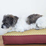 Dog Bed - Yellow Mini Check Printed Cotton