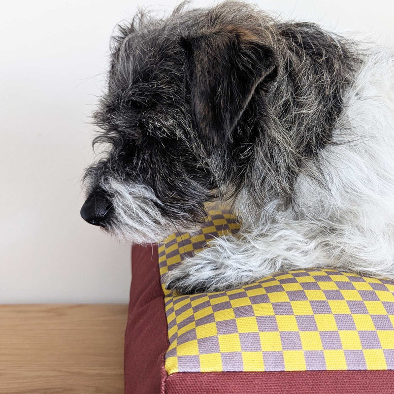 Dog Bed - Yellow Mini Check Printed Cotton